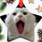 Wow Kitty Cat From Fonebook Star Ornament (Two Sides) Front