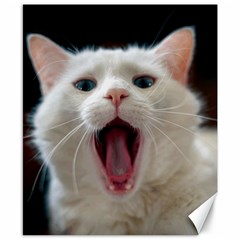 Wow Kitty Cat From Fonebook Canvas 8  X 10  by 2853937