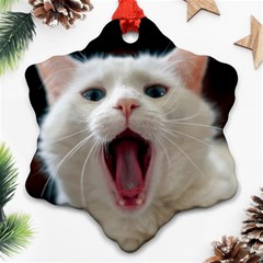 Wow Kitty Cat From Fonebook Ornament (snowflake) by 2853937