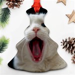 Wow Kitty Cat From Fonebook Ornament (Christmas Tree)  Front