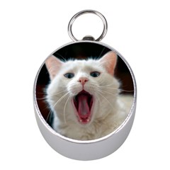 Wow Kitty Cat From Fonebook Mini Silver Compasses by 2853937