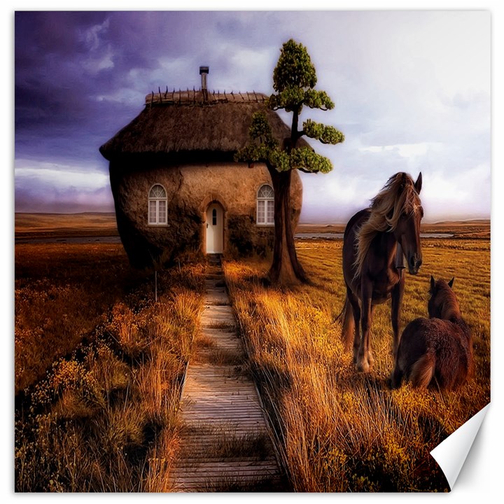 Strange House And Horses From Fonebook Canvas 12  x 12 