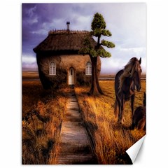 Strange House And Horses From Fonebook Canvas 12  X 16  by 2853937