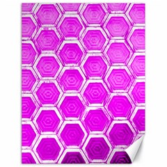 Hexagon Windows Canvas 18  X 24  by essentialimage