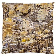 Rocky Texture Grunge Print Design Large Flano Cushion Case (one Side) by dflcprintsclothing