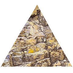 Rocky Texture Grunge Print Design Wooden Puzzle Triangle by dflcprintsclothing