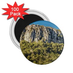 Arequita National Park, Lavalleja, Uruguay 2 25  Magnets (100 Pack)  by dflcprintsclothing