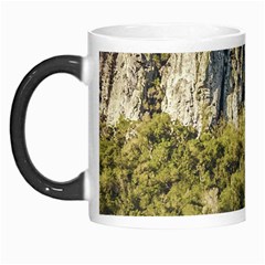 Arequita National Park, Lavalleja, Uruguay Morph Mugs by dflcprintsclothing