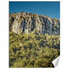 Arequita National Park, Lavalleja, Uruguay Canvas 12  X 16  by dflcprintsclothing