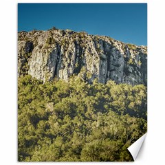 Arequita National Park, Lavalleja, Uruguay Canvas 16  X 20  by dflcprintsclothing