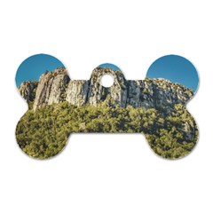 Arequita National Park, Lavalleja, Uruguay Dog Tag Bone (one Side) by dflcprintsclothing