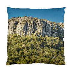 Arequita National Park, Lavalleja, Uruguay Standard Cushion Case (one Side) by dflcprintsclothing