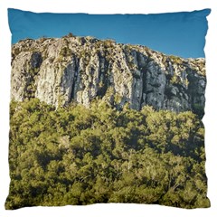 Arequita National Park, Lavalleja, Uruguay Large Cushion Case (two Sides) by dflcprintsclothing