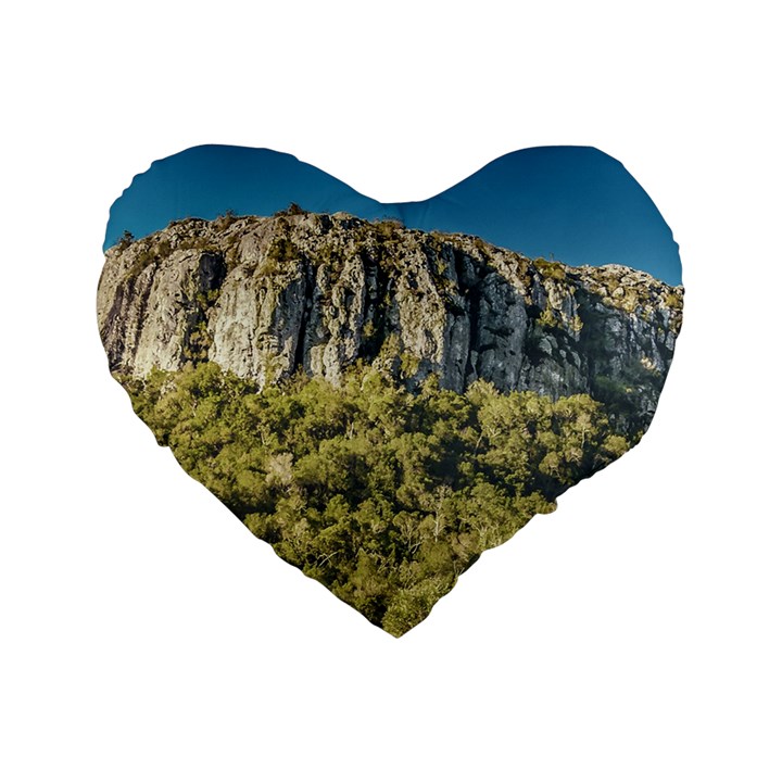 Arequita National Park, Lavalleja, Uruguay Standard 16  Premium Heart Shape Cushions