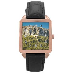 Arequita National Park, Lavalleja, Uruguay Rose Gold Leather Watch  by dflcprintsclothing