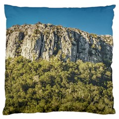 Arequita National Park, Lavalleja, Uruguay Large Flano Cushion Case (one Side)