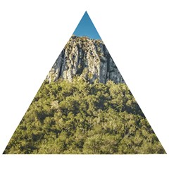 Arequita National Park, Lavalleja, Uruguay Wooden Puzzle Triangle by dflcprintsclothing