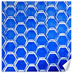 Hexagon Windows Canvas 12  X 12 