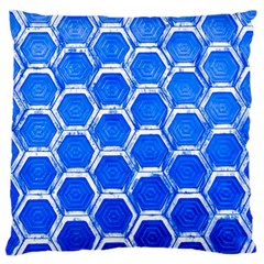 Hexagon Windows Standard Flano Cushion Case (one Side) by essentialimage365