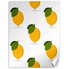 Lemon Fruit Canvas 18  X 24  by Dutashop