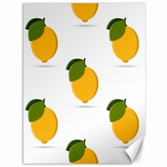 Lemon Fruit Canvas 36  X 48  by Dutashop