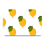 Lemon Fruit Plate Mats 18 x12  Plate Mat