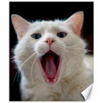 WOW Kitty Cat from Fonebook      Canvas 20  x 24  19.57 x23.15  Canvas - 1