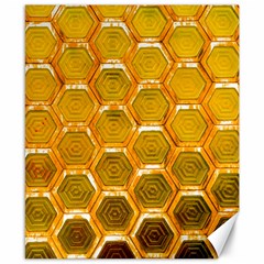 Hexagonal Windows Canvas 8  X 10  by essentialimage365