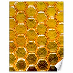 Hexagonal Windows Canvas 18  X 24 