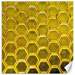 Hexagon Windows Canvas 16  X 16  by essentialimage365