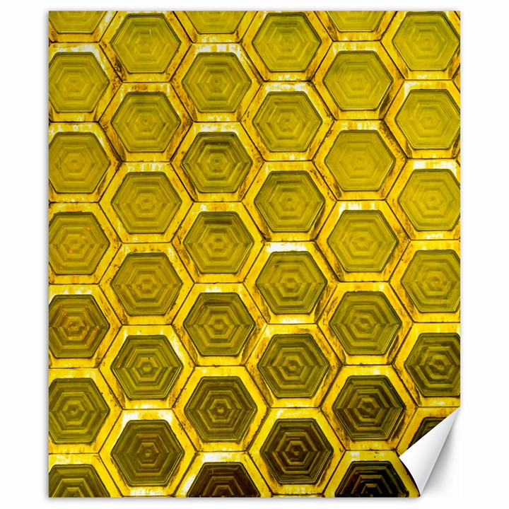 Hexagon Windows Canvas 20  x 24 