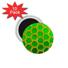 Hexagon Window 1 75  Magnets (10 Pack)  by essentialimage365