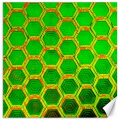 Hexagon Window Canvas 20  X 20  by essentialimage365