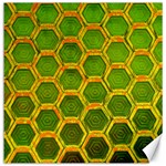 Hexagon Windows Canvas 20  x 20  19 x19.27  Canvas - 1