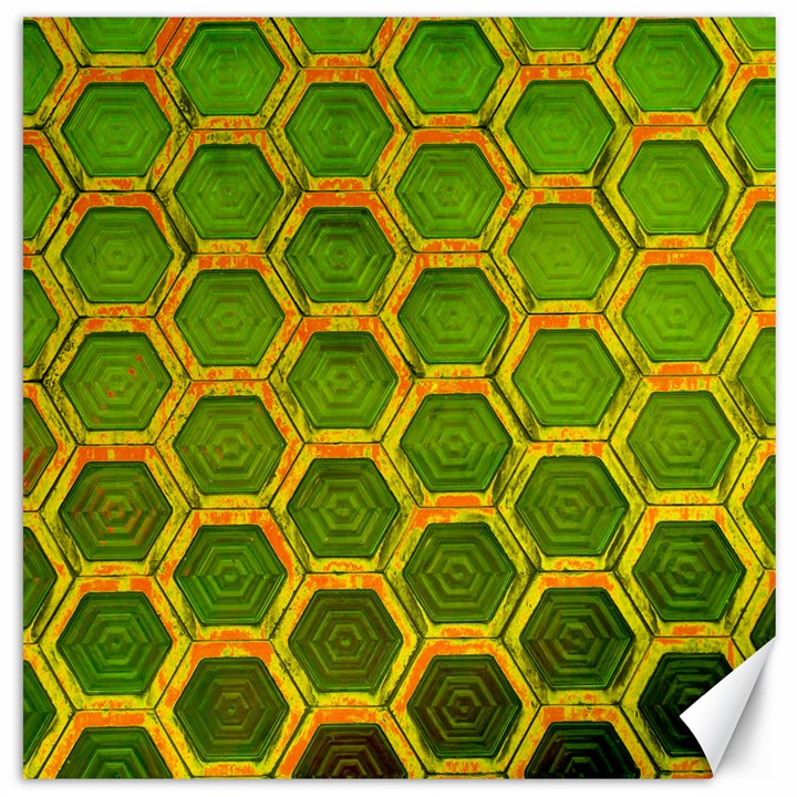 Hexagon Windows Canvas 20  x 20 