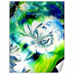 1lily 1lily Canvas 12  X 16 