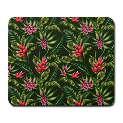 Tropical Flowers Large Mousepads by goljakoff