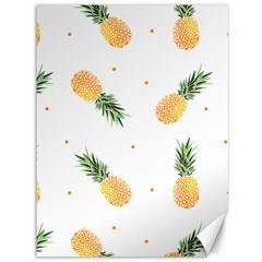 Pineapple Pattern Canvas 36  X 48  by goljakoff