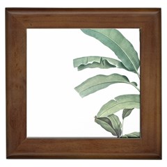 Banana Leaf Framed Tile by goljakoff