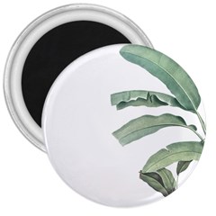 Banana Leaf 3  Magnets by goljakoff