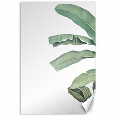 Banana Leaf Canvas 24  X 36  by goljakoff