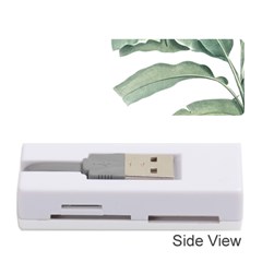 Banana Leaf Memory Card Reader (stick) by goljakoff