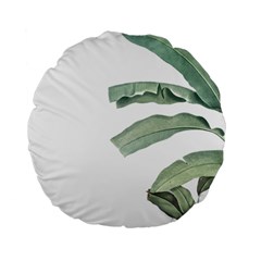 Banana Leaf Standard 15  Premium Round Cushions by goljakoff