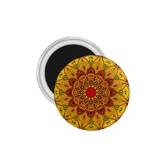 Mandela Flower Orange And Red 1 75  Magnets by ExtraGoodSauce