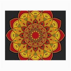 Mandela Flower Orange And Red Small Glasses Cloth