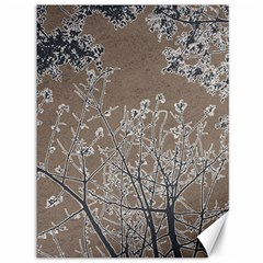 Linear Textured Botanical Motif Design Canvas 36  X 48  by dflcprintsclothing