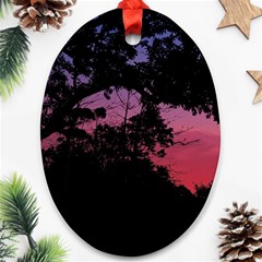 Sunset Landscape High Contrast Photo Ornament (oval)