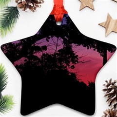 Sunset Landscape High Contrast Photo Star Ornament (two Sides)