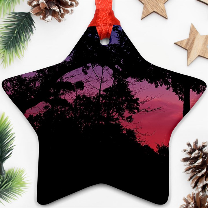 Sunset Landscape High Contrast Photo Star Ornament (Two Sides)