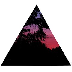 Sunset Landscape High Contrast Photo Wooden Puzzle Triangle